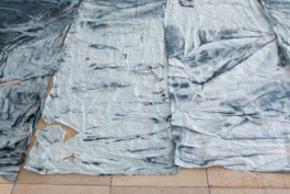 Anna Schapiro, SCHNITT DURCH DEN TIEFEREN GRUND EINER FALTENMOLASSE, 2018