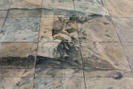 Anna Schapiro, SCHNITT DURCH DEN TIEFEREN GRUND EINER FALTENMOLASSE, 2018