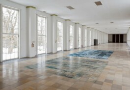 Anna Schapiro, SCHNITT DURCH DEN TIEFEREN GRUND EINER FALTENMOLASSE, 2018