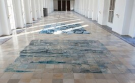 Anna Schapiro, SCHNITT DURCH DEN TIEFEREN GRUND EINER FALTENMOLASSE, 2018