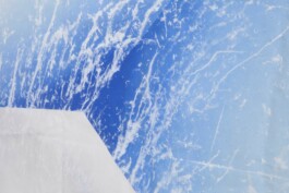 Anna Schapiro, Secret Colors of Eastern Europe (Banners), 2018