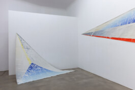 Anna Schapiro, Secret Colors of Eastern Europe (Banners), 2018