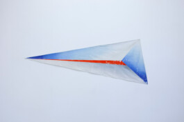 Anna Schapiro, Secret Colors of Eastern Europe (Banners), 2018