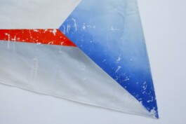 Anna Schapiro, Secret Colors of Eastern Europe (Banners), 2018