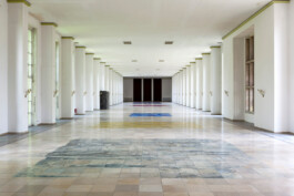 Anna Schapiro, There is No, 2018