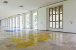 Anna Schapiro, There is No, 2018