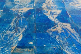 Anna Schapiro, There is No, 2018