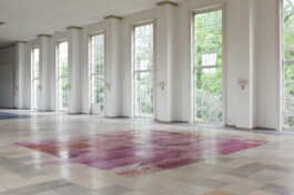 Anna Schapiro, There is No, 2018