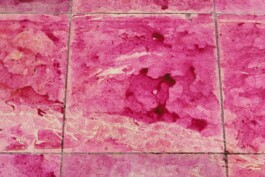 Anna Schapiro, There is No, 2018