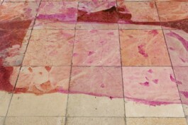 Anna Schapiro, There is No, 2018