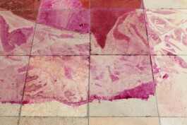 Anna Schapiro, There is No, 2018