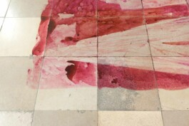 Anna Schapiro, There is No, 2018