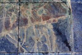 Anna Schapiro, There is No, 2018