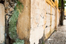 Anna Schapiro, Three Earths, 2022/2023