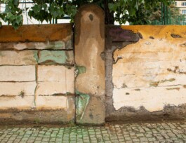 Anna Schapiro, Three Earths, 2022/2023