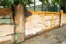 Anna Schapiro, Three Earths, 2022/2023