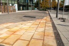 Anna Schapiro, Three Earths, 2022/2023