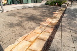 Anna Schapiro, Three Earths, 2022/2023