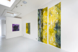 Anna Schapiro, TOMORROW (GORSE, PAYNE`S GREY, SLATE GREY, VIOLET, INDIGO), 2023, photo: Josef Konczak