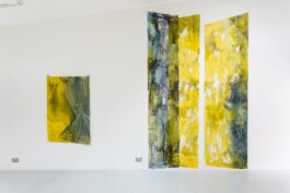 Anna Schapiro, TOMORROW (GORSE, PAYNE`S GREY, SLATE GREY, VIOLET, INDIGO), 2023, photo: Josef Konczak