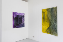 Anna Schapiro, TOMORROW (GORSE, PAYNE`S GREY, SLATE GREY, VIOLET, INDIGO), 2023, photo: Josef Konczak