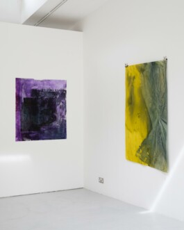 Anna Schapiro, TOMORROW (GORSE, PAYNE`S GREY, SLATE GREY, VIOLET, INDIGO), 2023, photo: Josef Konczak