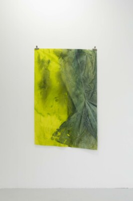 Anna Schapiro, TOMORROW (GORSE, PAYNE`S GREY, SLATE GREY, VIOLET, INDIGO), 2023, photo: Josef Konczak