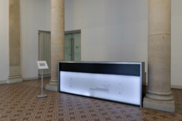 Anna Schapiro, ÜBER DAS ENTFERNEN VERFASSUNGSFEINDLICHER SYMBOLE ODER: ICH KANN BEIM BESTEN WILLEN KEINE HAKENKREUZE ERKENNEN (ON THE REMOVAL OF UNCONSTITUTIONAL SYMBOLS OR: AS HARD AS I TRY, I JUST CAN’T MAKE OUT A SWASTIKA), 2023, photo: Lucian Brateanu Anna Schapiro, visual artist, writer and editor based in Berlin