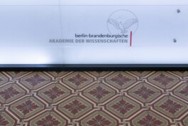 Anna Schapiro, ÜBER DAS ENTFERNEN VERFASSUNGSFEINDLICHER SYMBOLE ODER: ICH KANN BEIM BESTEN WILLEN KEINE HAKENKREUZE ERKENNEN (ON THE REMOVAL OF UNCONSTITUTIONAL SYMBOLS OR: AS HARD AS I TRY, I JUST CAN’T MAKE OUT A SWASTIKA), 2023, photo: Lucian Brateanu