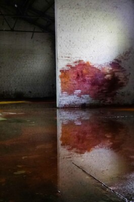 Anna Schapiro, Views Of A Possible Moon (Ansichten eines möglichen Mondes), 2022 - ongoing, ©Institut für Neue Soziale Plastik, photo: Marco Salustro