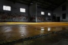 Anna Schapiro, Views Of A Possible Moon (Ansichten eines möglichen Mondes), 2022 - ongoing, ©Institut für Neue Soziale Plastik, photo: Marco Salustro