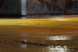 Anna Schapiro, Views Of A Possible Moon (Ansichten eines möglichen Mondes), 2022 - ongoing, ©Institut für Neue Soziale Plastik, photo: Marco Salustro