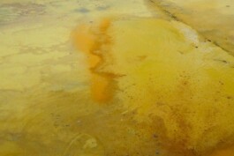 Anna Schapiro, Views Of A Possible Moon (Ansichten eines möglichen Mondes), 2022 - ongoing, ©Institut für Neue Soziale Plastik, photo: Marco Salustro