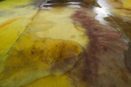 Anna Schapiro, Views Of A Possible Moon (Ansichten eines möglichen Mondes), 2022 - ongoing, ©Institut für Neue Soziale Plastik, photo: Marco Salustro