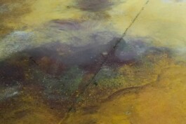 Anna Schapiro, Views Of A Possible Moon (Ansichten eines möglichen Mondes), 2022 - ongoing, ©Institut für Neue Soziale Plastik, photo: Marco Salustro