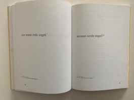 Anna Schapiro, Allianzen, Jalta, 2018