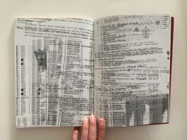 Anna Schapiro, Desintegration, Jalta, 2017