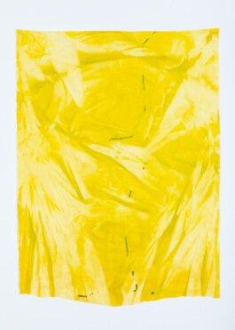 Anna Schapiro, o.T. (Various Prints out of There is No), 2020, photo: Lukas Heibges