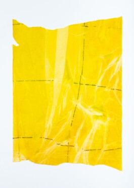 Anna Schapiro, o.T. (Various Prints out of There is No), 2020, photo: Lukas Heibges