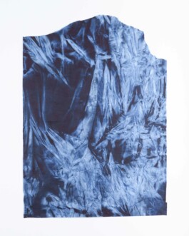 Anna Schapiro, o.T. (Various Prints out of There is No), 2020, photo: Lukas Heibges