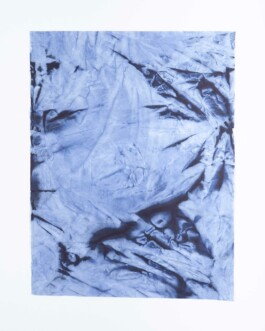 Anna Schapiro, o.T. (Various Prints out of There is No), 2020, photo: Lukas Heibges