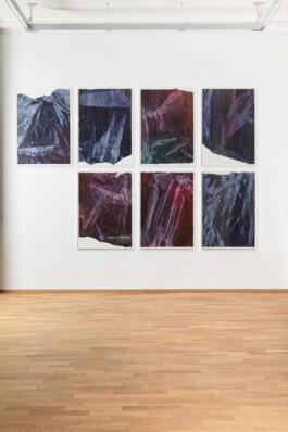 Anna Schapiro, Offene Geheimnisse II (Open Secrets II), (Blue Violet, Indigo, Payne's Grey, Slate Grey, Bordeaux, Burnt Sienna, Yellow Ochre, genuine Indigo, Iron Oxide Red, Bohemian Green Earth), 2023, photo: Robert Vanis Anna Schapiro, visual artist, writer and editor based in Berlin