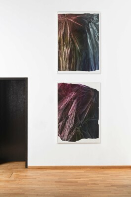 Anna Schapiro, Offene Geheimnisse II (Open Secrets II), (Blue Violet, Indigo, Payne's Grey, Slate Grey, Bordeaux, Burnt Sienna, Yellow Ochre, genuine Indigo, Iron Oxide Red, Bohemian Green Earth), 2023, photo: Robert Vanis