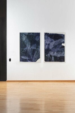 Anna Schapiro, Offene Geheimnisse II (Open Secrets II), (Blue Violet, Indigo, Payne's Grey, Slate Grey, Bordeaux, Burnt Sienna, Yellow Ochre, genuine Indigo, Iron Oxide Red, Bohemian Green Earth), 2023, photo: Robert Vanis