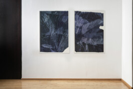 Anna Schapiro, Offene Geheimnisse II (Open Secrets II), (Blue Violet, Indigo, Payne's Grey, Slate Grey, Bordeaux, Burnt Sienna, Yellow Ochre, genuine Indigo, Iron Oxide Red, Bohemian Green Earth), 2023, photo: Robert Vanis