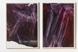 Anna Schapiro, Offene Geheimnisse II (Open Secrets II), (Blue Violet, Indigo, Payne's Grey, Slate Grey, Bordeaux, Burnt Sienna, Yellow Ochre, genuine Indigo, Iron Oxide Red, Bohemian Green Earth), 2023, photo: Robert Vanis