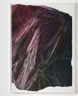 Anna Schapiro, Offene Geheimnisse II (Open Secrets II), (Blue Violet, Indigo, Payne's Grey, Slate Grey, Bordeaux, Burnt Sienna, Yellow Ochre, genuine Indigo, Iron Oxide Red, Bohemian Green Earth), 2023, photo: Robert Vanis