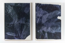 Anna Schapiro, Offene Geheimnisse II (Open Secrets II), (Blue Violet, Indigo, Payne's Grey, Slate Grey, Bordeaux, Burnt Sienna, Yellow Ochre, genuine Indigo, Iron Oxide Red, Bohemian Green Earth), 2023, photo: Robert Vanis