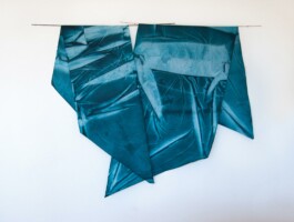 Anna Schapiro, Two Materials (Zwei Stoffe), 2016 Anna Schapiro, visual artist, writer and editor based in Berlin