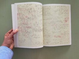 Anna Schapiro, Übersetzbarkeit, Jalta, 2020